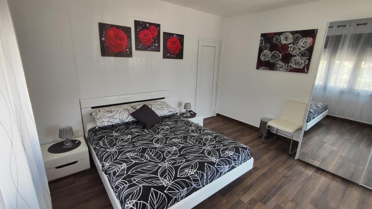 Viktor Rooms And Apartments روفينج المظهر الخارجي الصورة